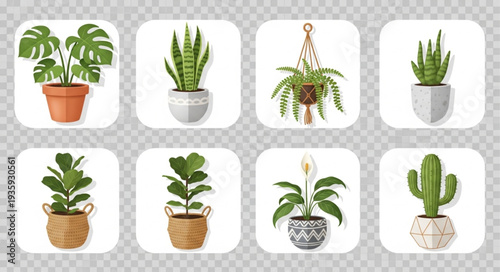 Collection of various potted houseplants on a transparent background.