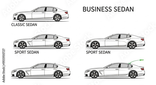 Business Sedan Car Models Illustration.