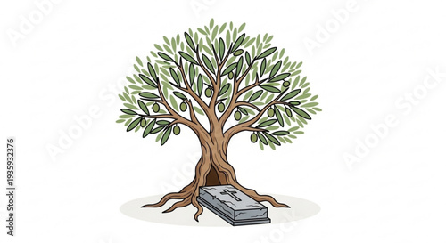 Olive tree with roots and money stack on transparent background symbolizing prosperity