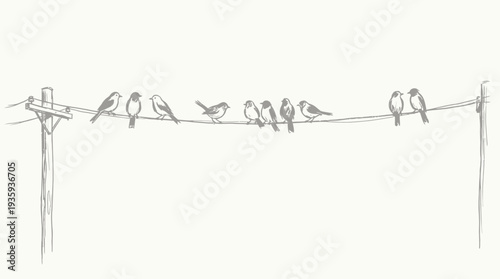 A flock of small birds perched in a line on a simple overhead wire against a plain background