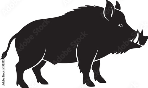 Silhouette of a wild boar walking with visible tusks and bristly mane also transparent background black and white