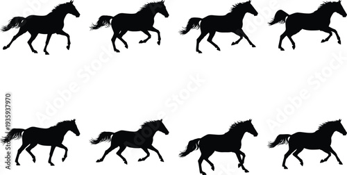 Eight black horse silhouettes in a dynamic vector sequence, illustrating various running gaits. This graphic captures equine grace, speed, and athleticism, ideal for animation and design.