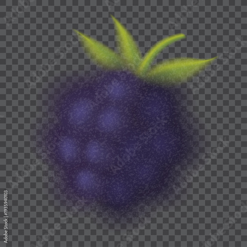 Gradient blurred blackberry template. Vector illustration of vibrant bramble with blurred, transparent edges and grainy textures isolated on checkered background. Symbol of summer berry.