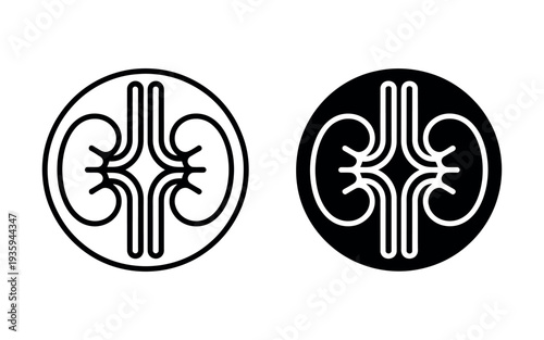 A medical illustration of kidney anatomy in black and white