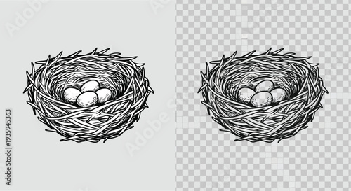 Detailed illustration of a bird s nest with speckled eggs inside
