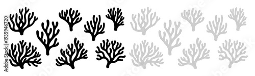 Collection of stylized coral illustrations in black and grey tones
