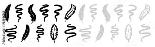 Collection of abstract swirls and feather shapes in black and gray