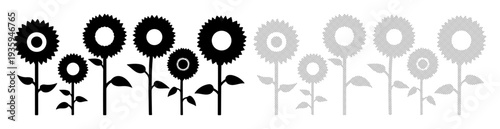 Diverse stylized sunflowers in black and grayscale contrast, representing growth and variety.