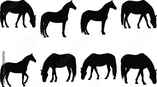 A collection of eight majestic horse silhouettes in various dynamic and peaceful poses, including standing tall and gracefully grazing, ideal for equestrian designs and nature-themed projects.