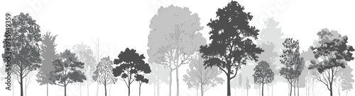 A serene landscape with various trees in shades of gray and white against a light background nature
