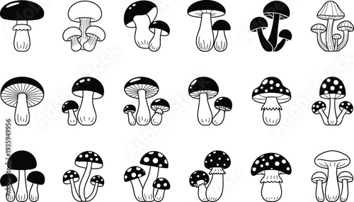 Assortment of black and white outline and silhouette illustrations of various types of mushrooms including toadstools and edible varieties on a white background Keywords: mushroom silhouette