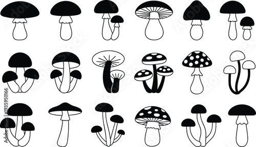 Assortment of Black and White Silhouettes and Outline Illustrations of Mushrooms on a White Background