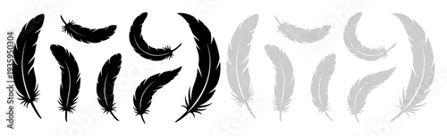 Elegant black and white feathers gracefully floating against a clean background