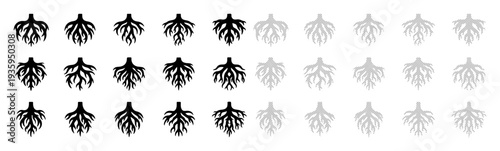 Gradual fading of black tree roots to gray, symbolizing growth stages and decay.