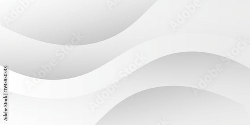 Abstract minimalist white and gray curve modern background. texture white pattern. vector illustration