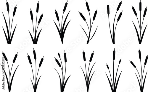 Black Silhouette Icons of Cattails and Reeds in Different Arrangements on a White Background Keywords: cattail, reed, plant, nature, silhouette, icon, set, collection, graphic, illustration