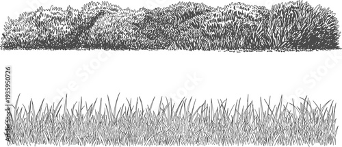 Two distinct grass fields with different heights and textures in black and white short grass