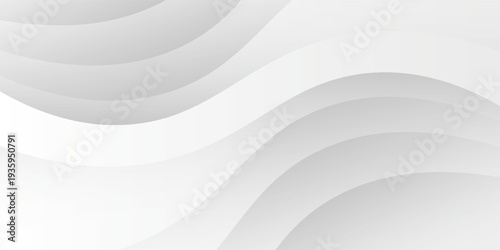 Abstract minimalist white and gray curve modern background. texture white pattern. vector illustration