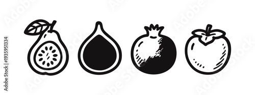 Guava, Fig, Pomegranate, and Persimmon Icons. Fresh Fruit Doodles Collection.
