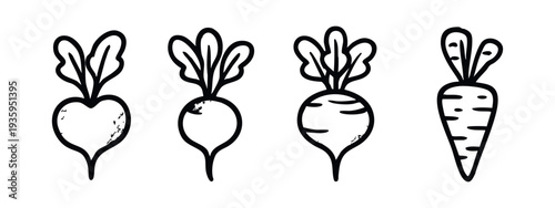 Radish, Turnip, and Carrot Icons. Fresh Root Vegetable Doodles Collection.
