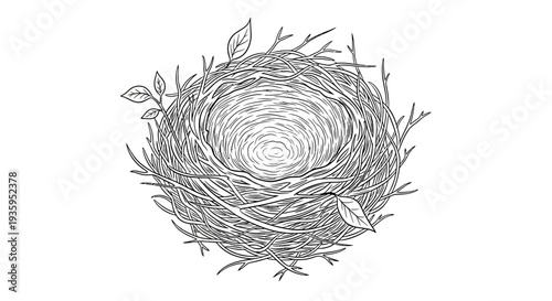 Detailed line drawing of a circular bird s nest with leafy branches