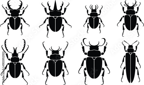 Set of Black Silhouettes of Different Stag Beetle Species with Prominent Horns on a White Background