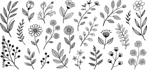 Black and white floral patterns with various botanical illustrations of leaves and flowers Vector