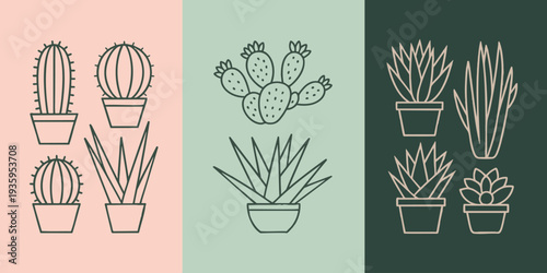 Minimalist line art cactus and succulent illustrations in pots Vector