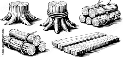 Detailed illustration of various log and tree stump configurations Vector