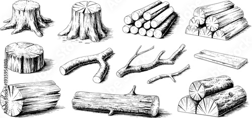 Detailed black and white wood logs illustration set Vector