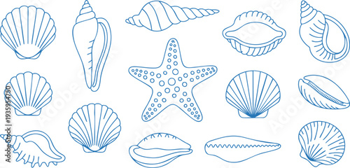 Blue hand-drawn seashells and starfish illustration on white background Vector