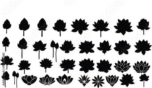 Set of 36 black lotus flower, leaf, and bud silhouettes on transparent background for design
