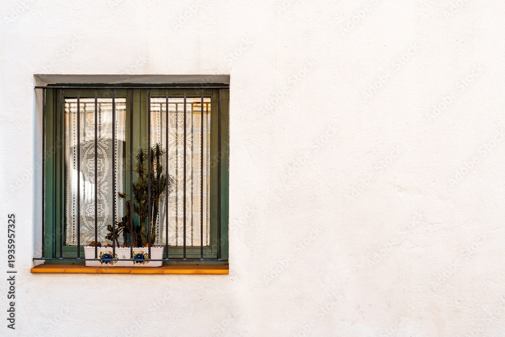 Fototapeta premium White façade of a house and window with bars and a plant inside.