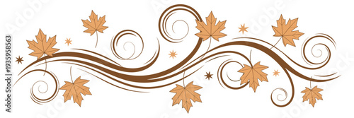 Autumn leaf swirls, elegant fall decor, seasonal design elements, decorative leaves, autumn vector illustration, seasonal graphic set