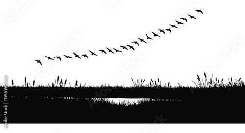 A flock of birds flies in a curved formation above a grassy shoreline creating a striking silhouette high quality professional detailed