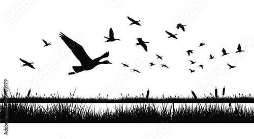 A flock of birds in flight soars over a grassy field creating a dramatic black silhouette high quality professional detailed modern