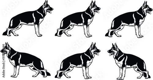 German shepherd dog silhouettes in different standing poses, canine breed profile collection, working dog illustration set