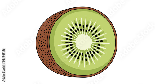 Fresh kiwi fruit cut in half.