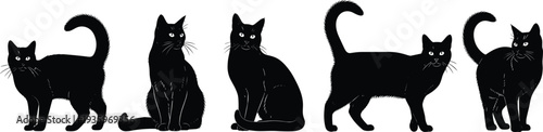 Black cat silhouette collection, domestic feline pet poses set, cute kitty animal illustration isolated Halloween design element