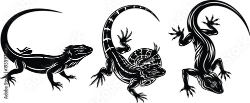 Lizard silhouette set vector illustration reptile gecko iguana crawling animal wildlife tropical creature design isolated on white background