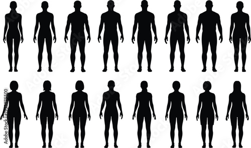 Human body silhouettes male and female figures front view anatomy shapes collection vector illustration isolated design