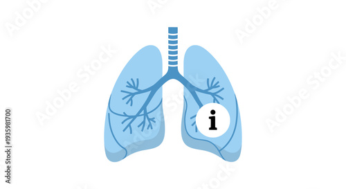 Human lungs anatomy illustration with information icon.