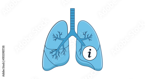 Human lungs anatomy with information icon on left lung.