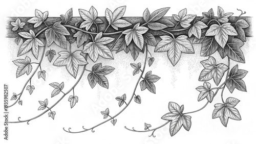 tangled vine illustration with hand-drawn blank frame