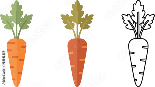 A single ripe orange carrot with vibrant green leafy tops is presented in three different graphic styles for food illustration.