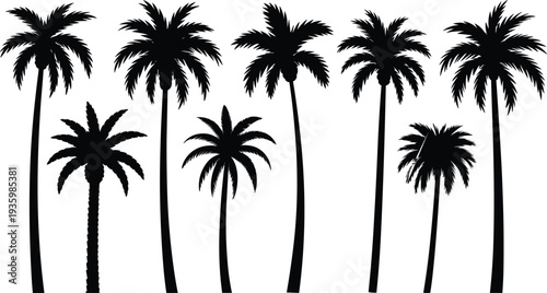 Palm tree silhouette set tropical coconut trees collection vector illustration isolated on white background for summer beach design