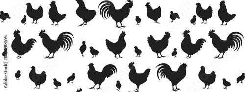 Chicken rooster hen and chick silhouettes collection, farm poultry birds black vector set isolated on white background