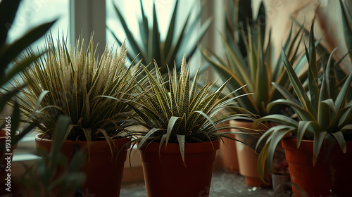 Wallpaper Mural Collection of potted plants on windowsill with natural light Torontodigital.ca