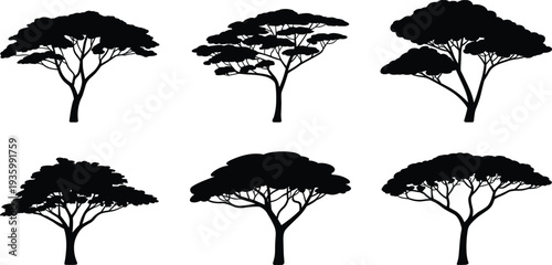African acacia tree silhouettes collection, savanna landscape nature black vector illustration set isolated on white background