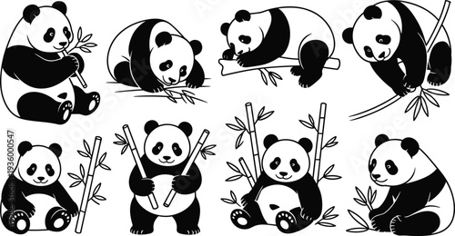 Set of cute panda bear illustrations and silhouettes, giant pandas with bamboo leaves, various animal poses for wildlife nature design.